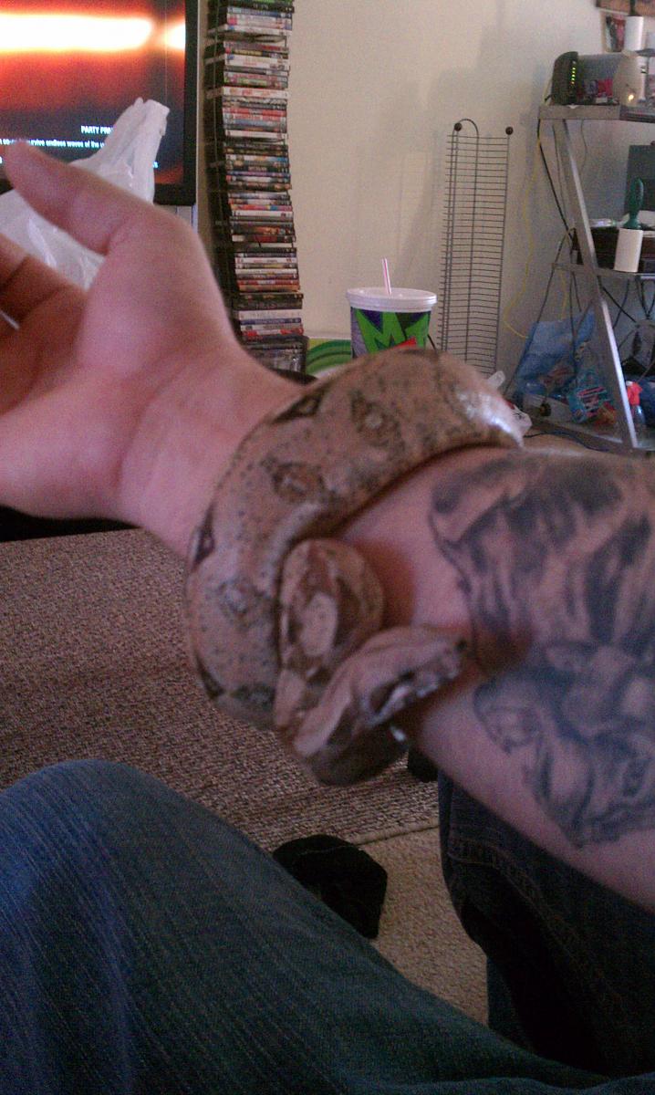 red tail