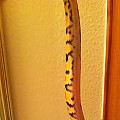 mysterysnake3