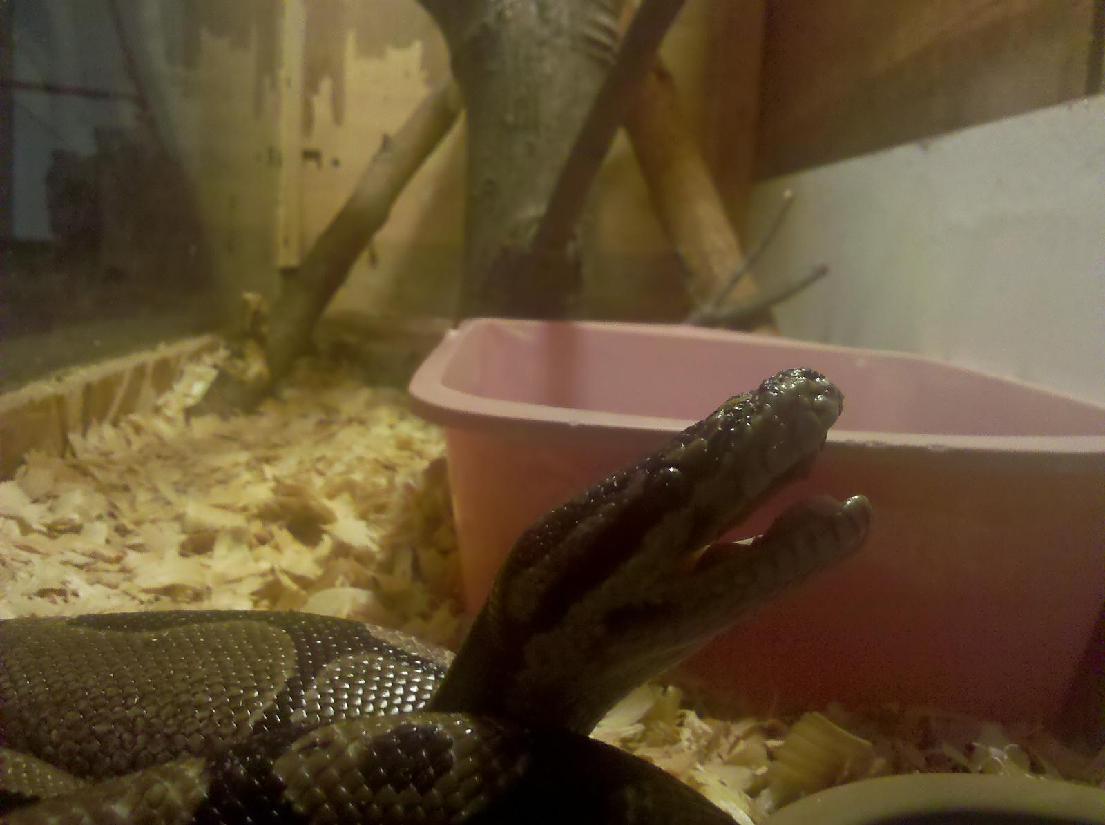 My Rescue BP
