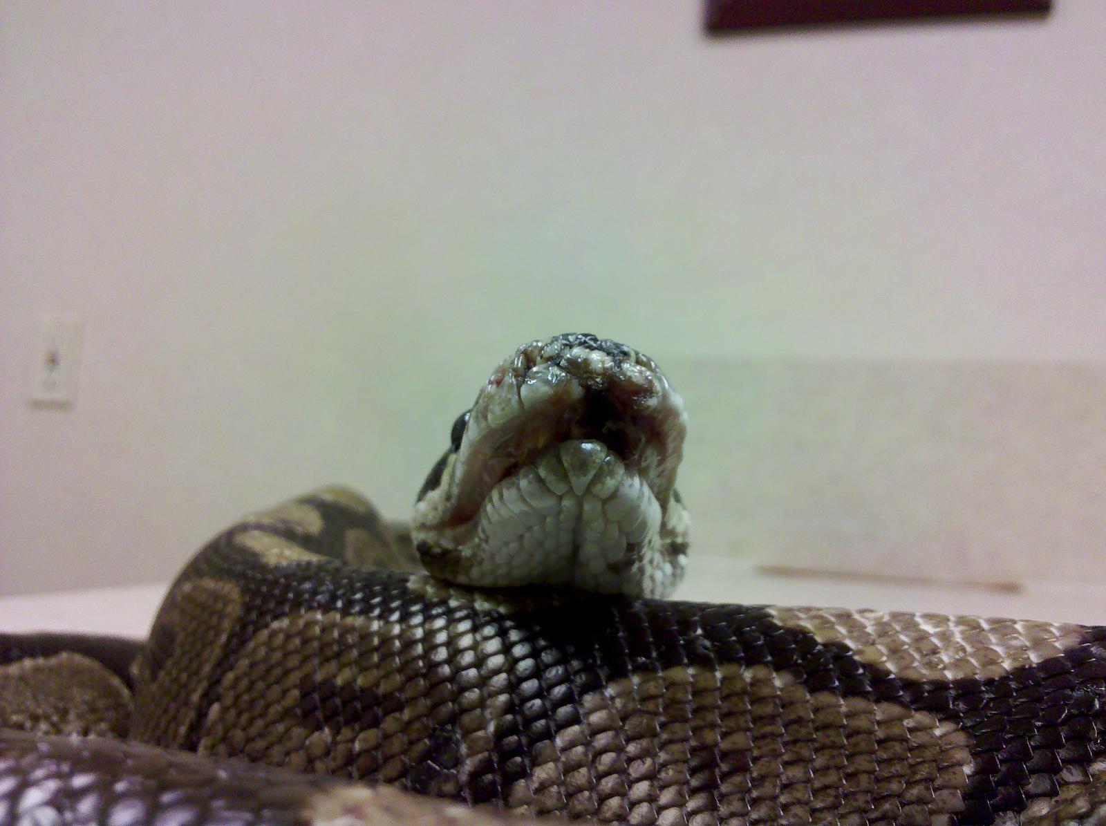 Mouth damage