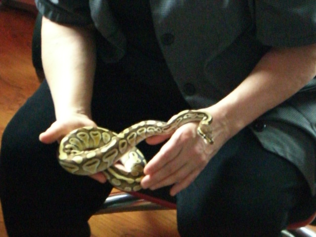 Mom playing with my snakes.....
