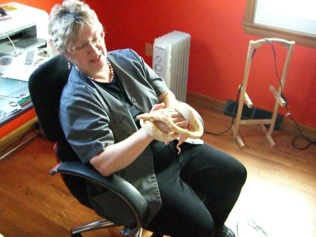 Mom playing with my snakes.....