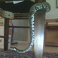 img00389
