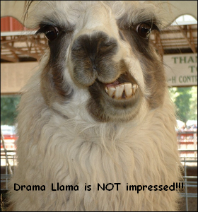 Mad Drama Llama