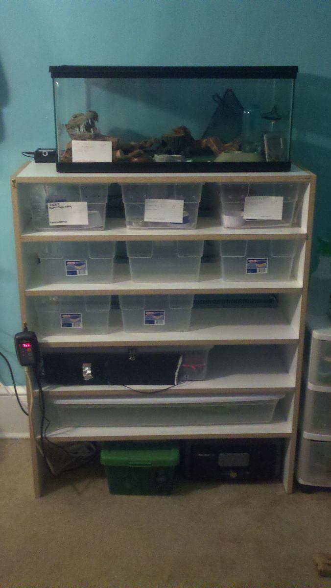 diy rack