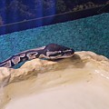 Steve2 in his 55 gal tank