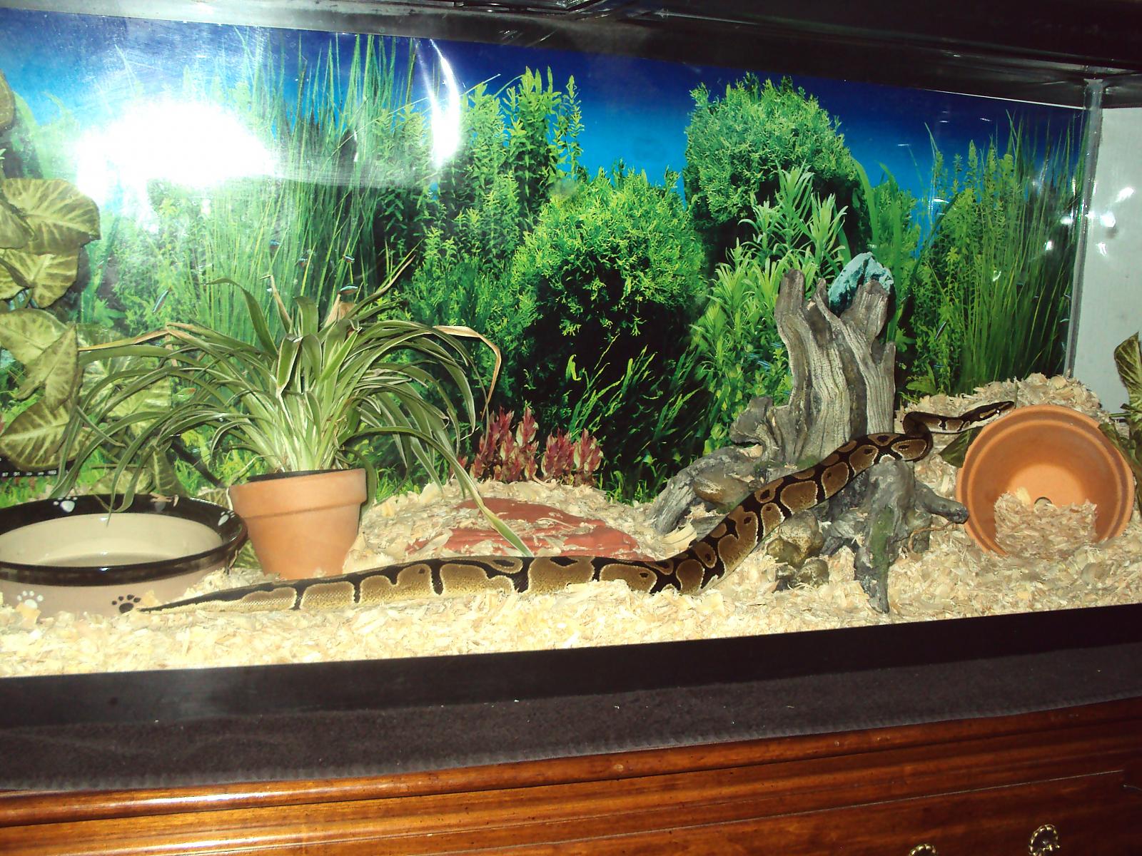 My babies.