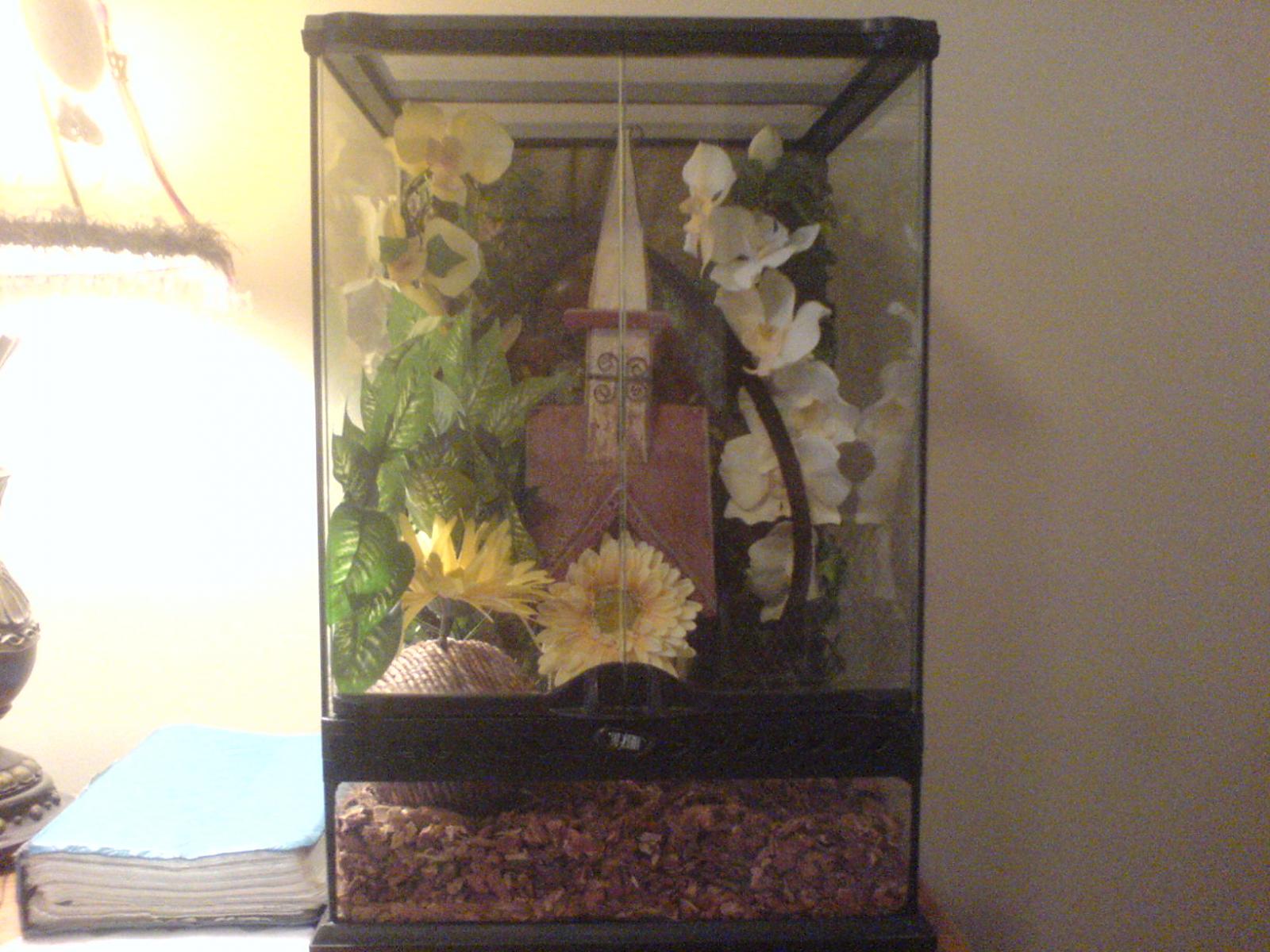 crestie world 1
