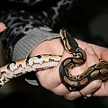 img 01171