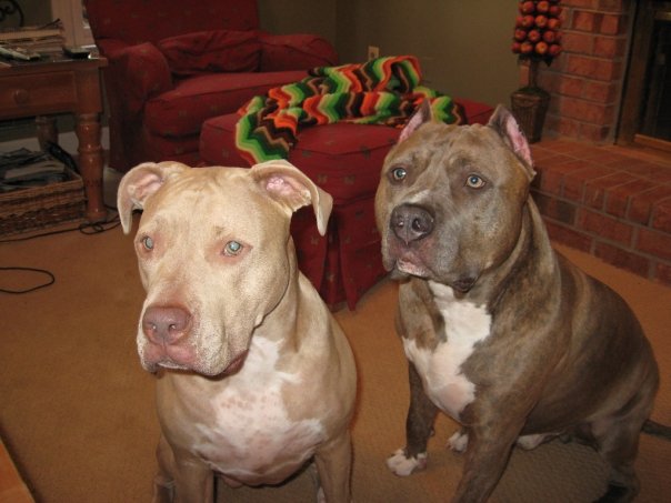 Buck and Audrey