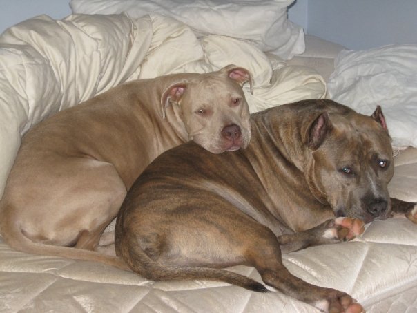 Buck and Audrey
