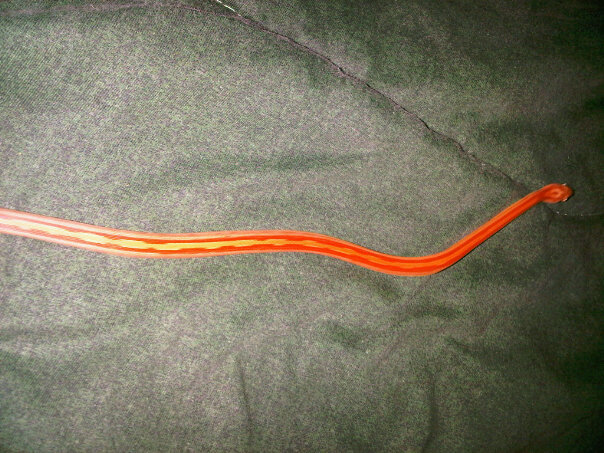 My Snakes
