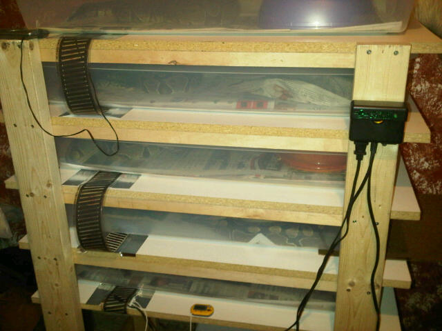 Completed snake rack with heat tape