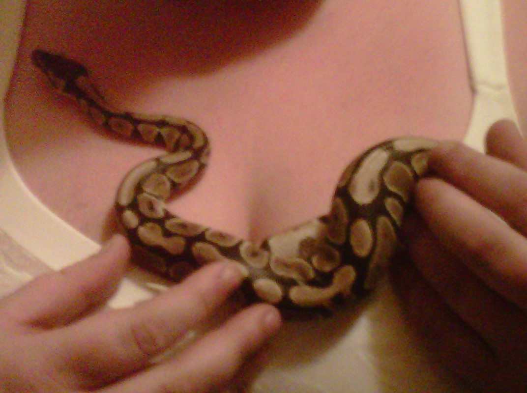Hera