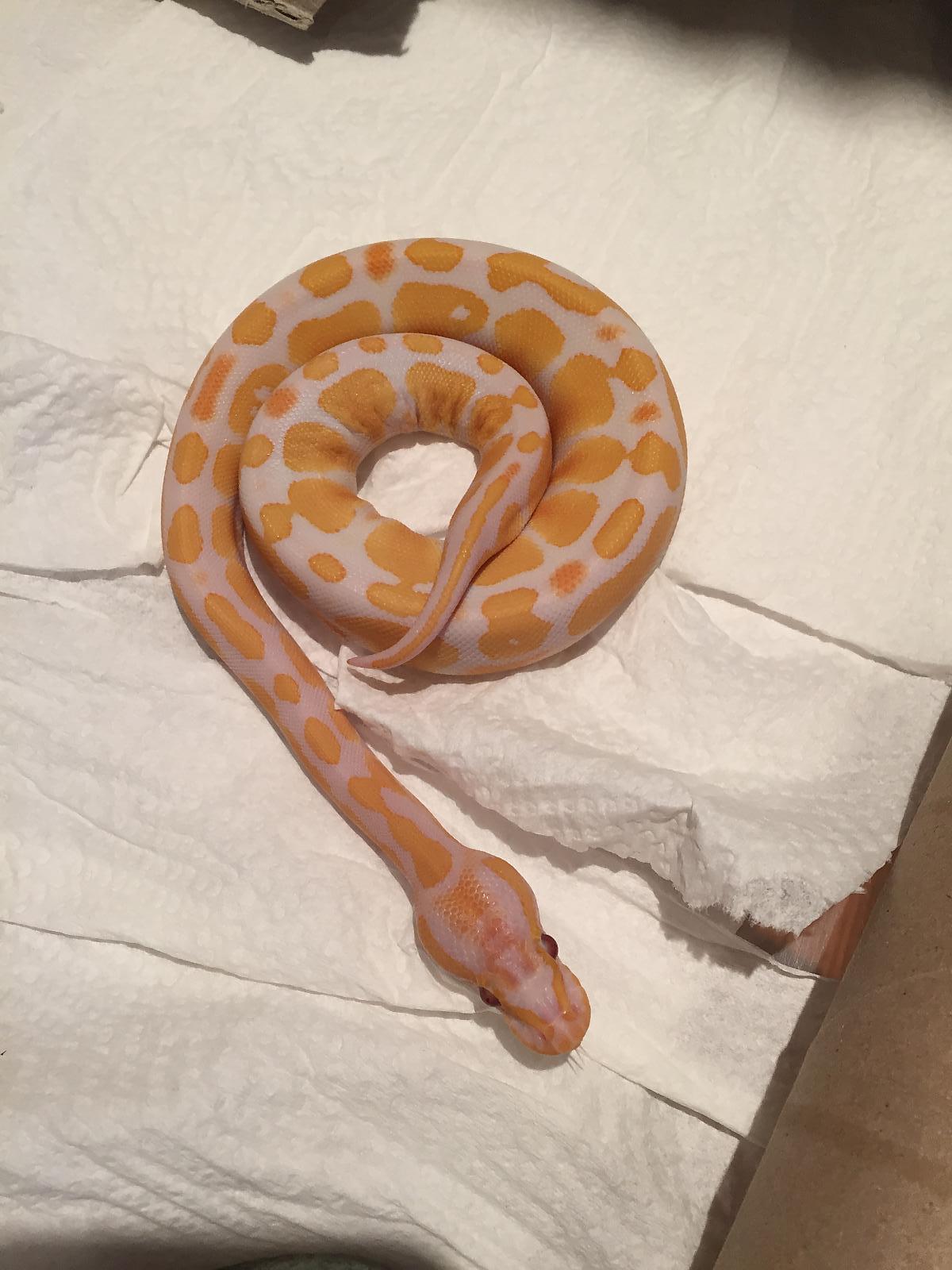 New Addition