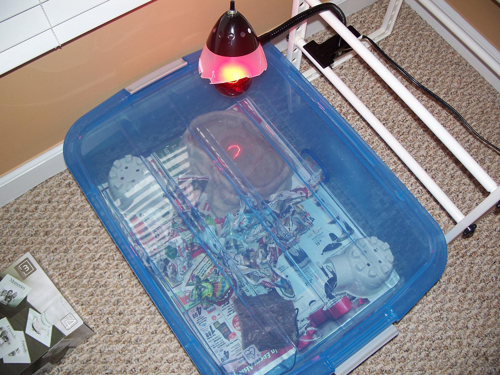 Erikson's Set-Up