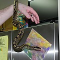 dscn0041