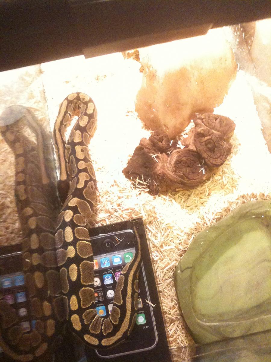 She's getting big