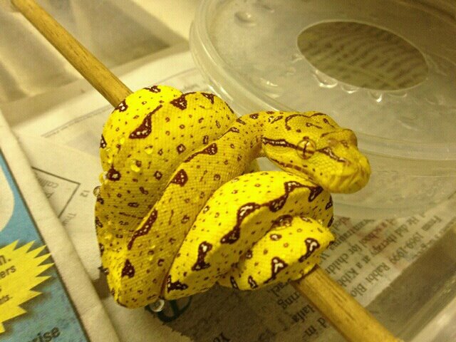 chris the gtp