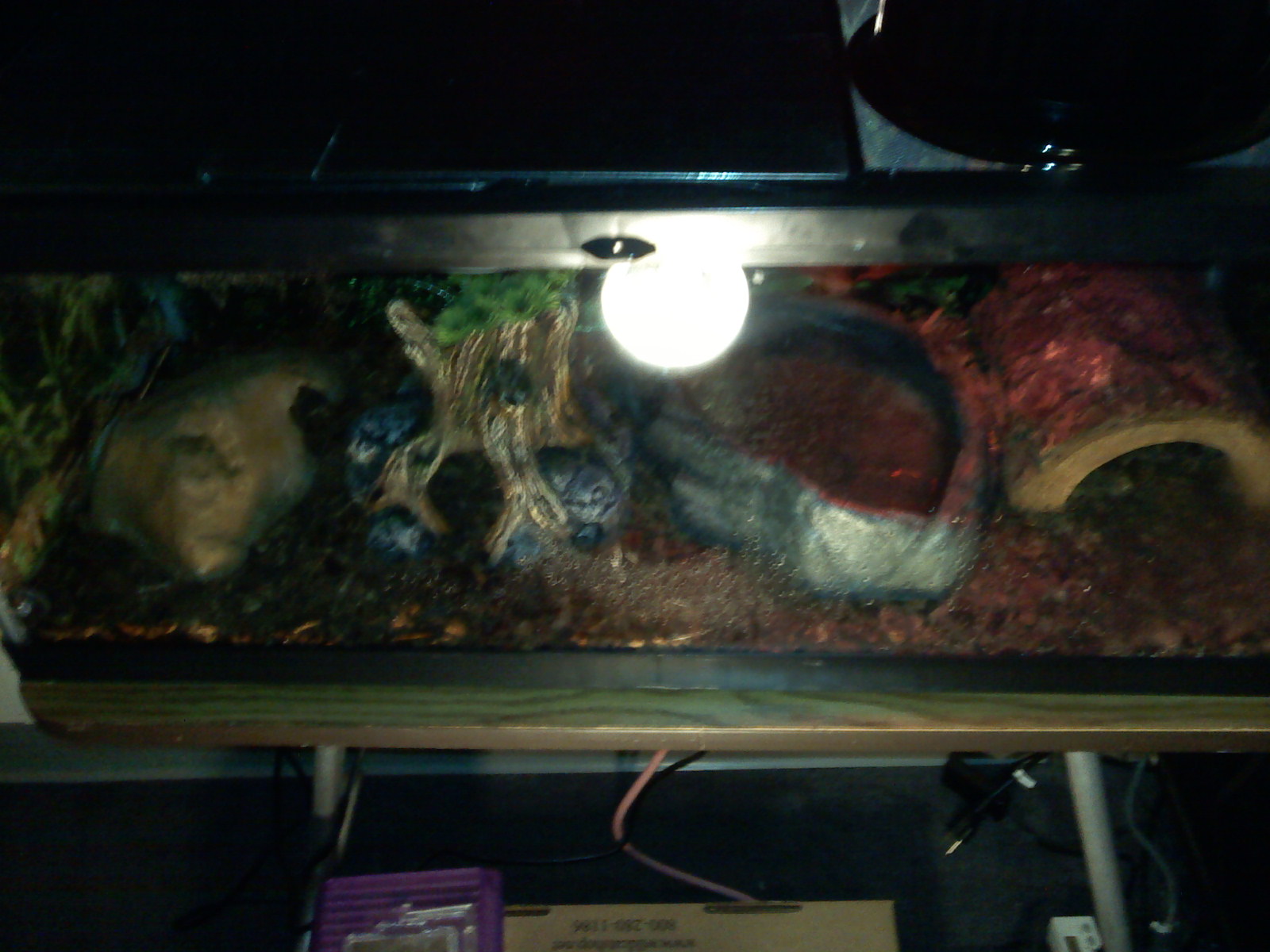 tank setup