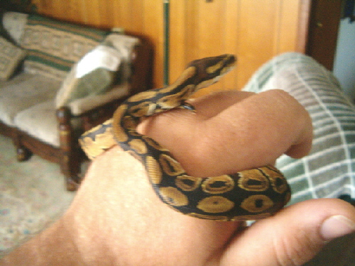 first Loki pic 1