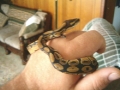 first Loki pic 1