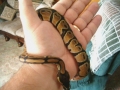 First Loki Pics 2