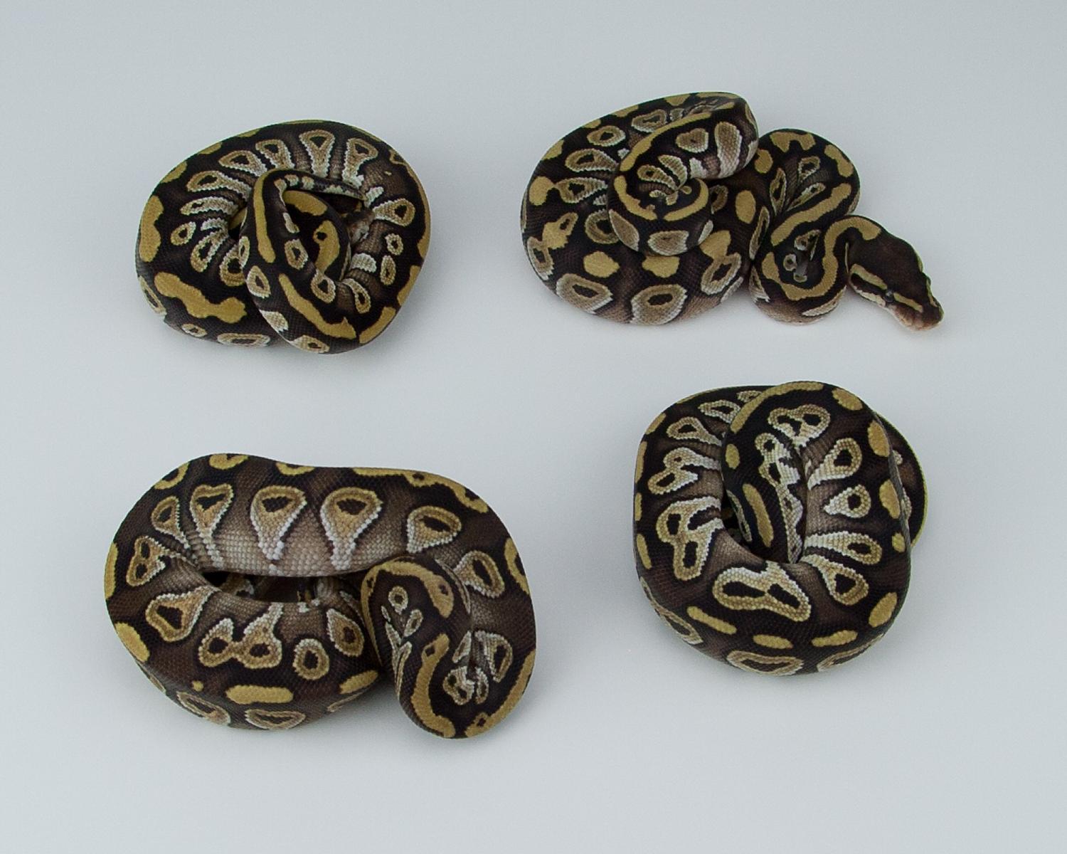 2015 mojave comparison 2 2015-07-20