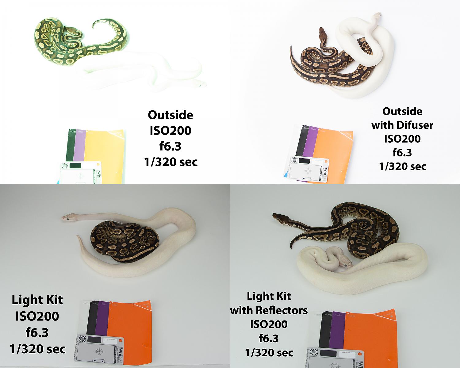 light kit v outside 2015-08-16