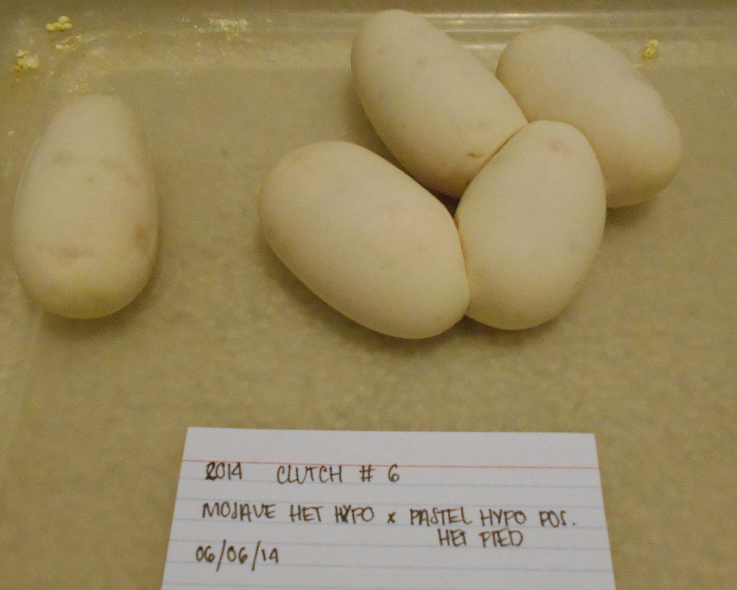 mojave het hypo x pastel hypo pos het pied 2 2014 06 06