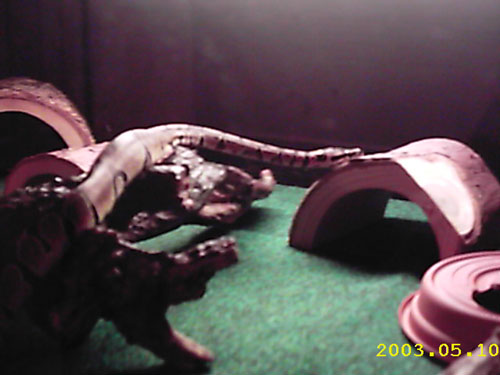 A'Kashja is settling in nicely!