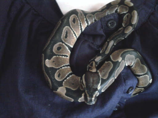 Fred cuddling