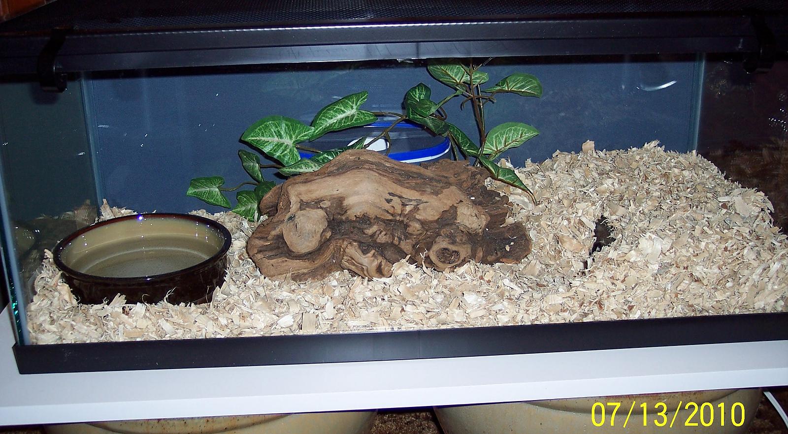 Sammie's new 20Long
