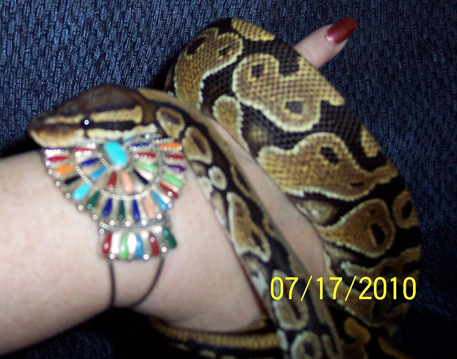 Sammie's getting bigger!