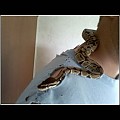 after shed