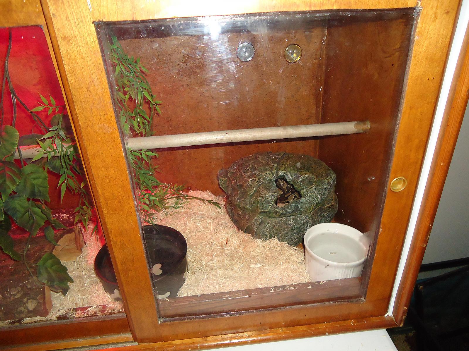 arnold in his new place