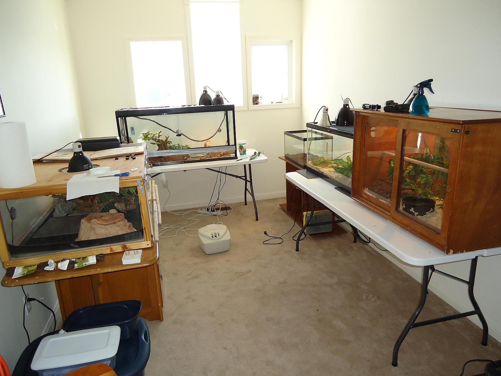 new snake room