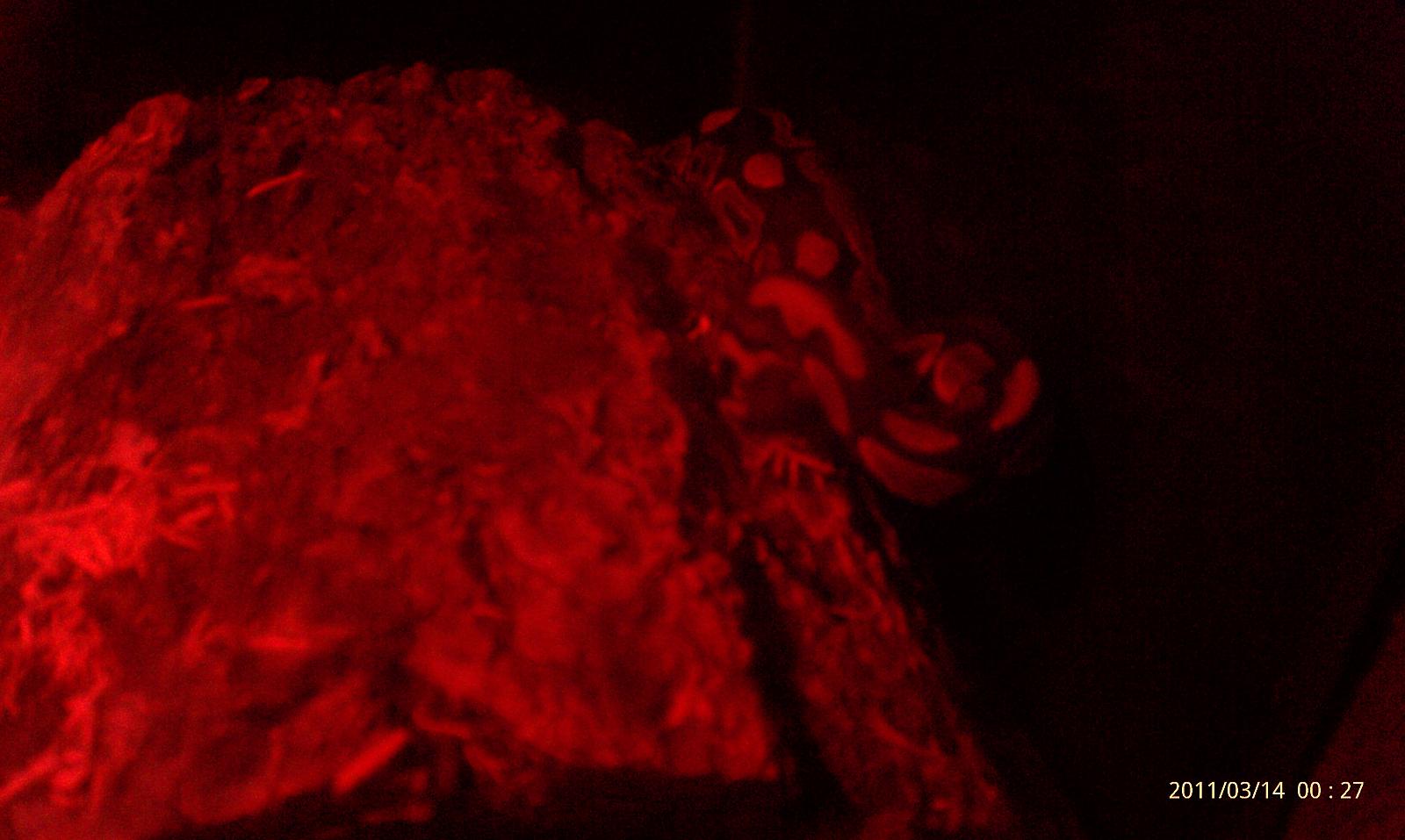 imag0050