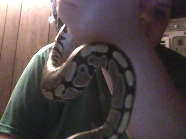 Loki