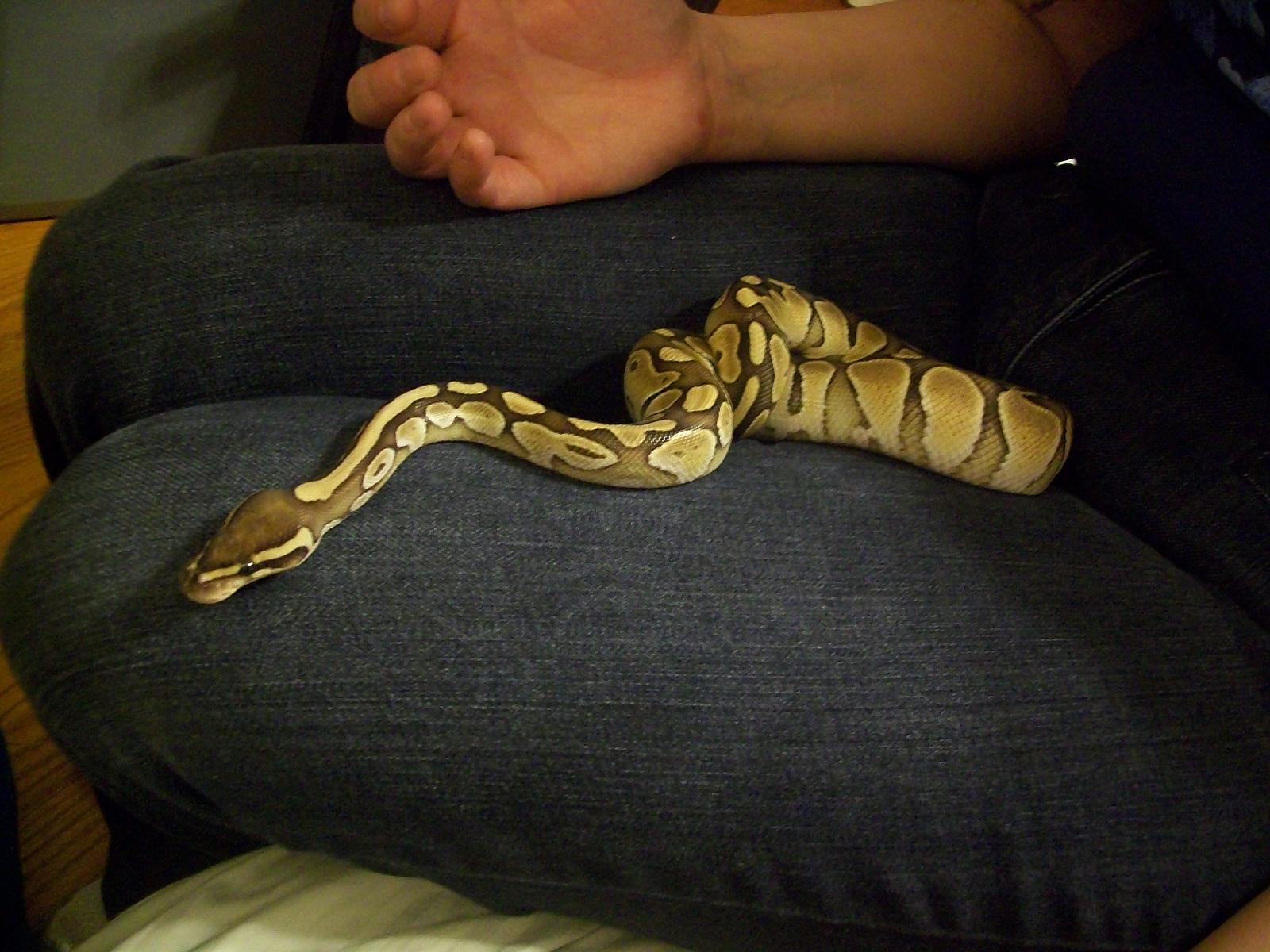 Lesser