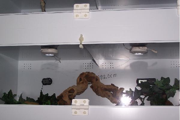 cage1