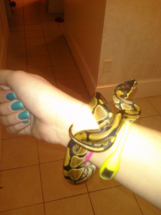 Cleo