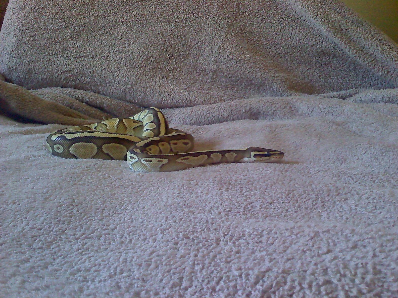 0605011117b