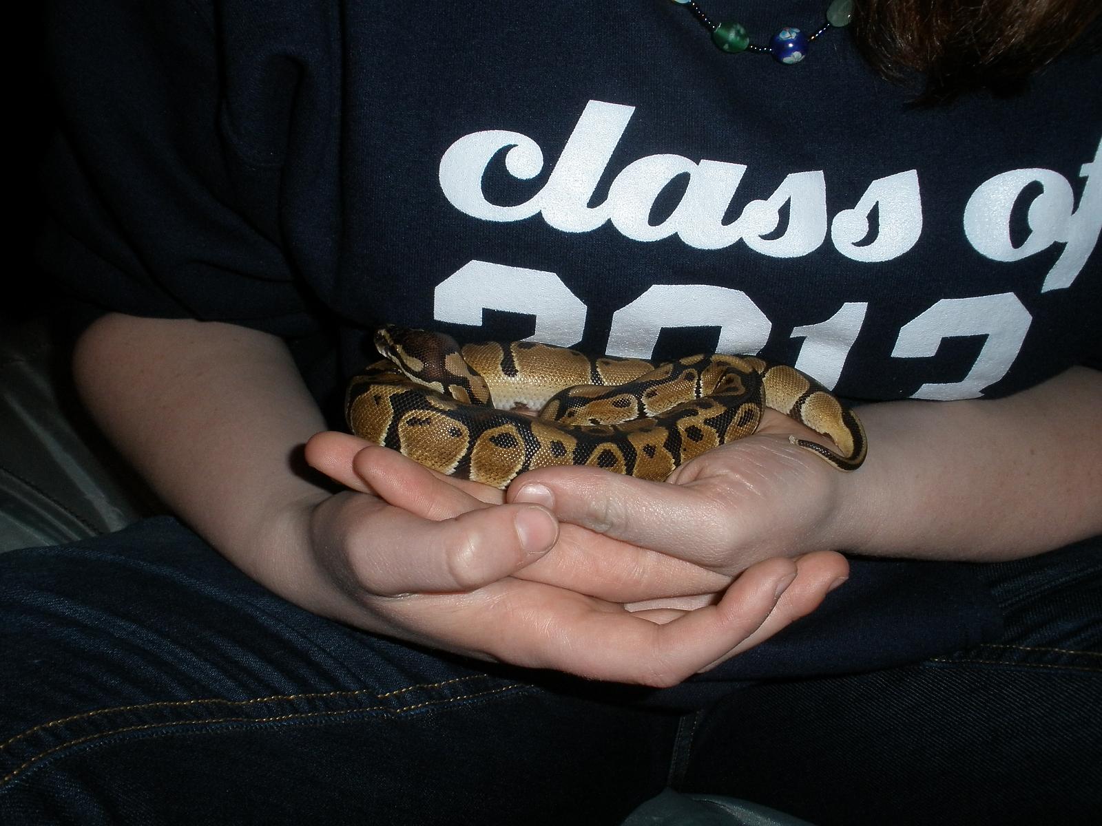 Aeva and Ili