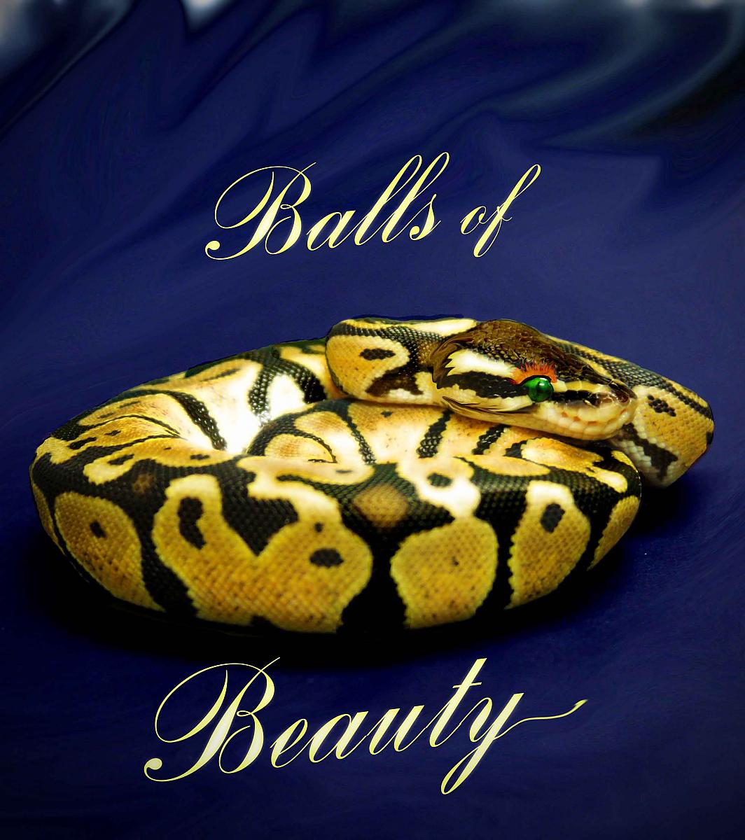 Balls Of Beauty