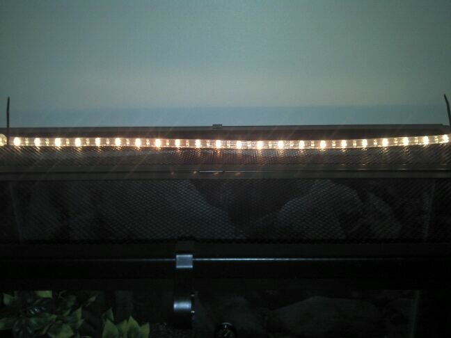 light rope 2