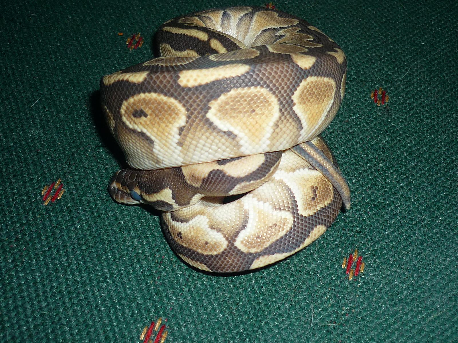 lesser