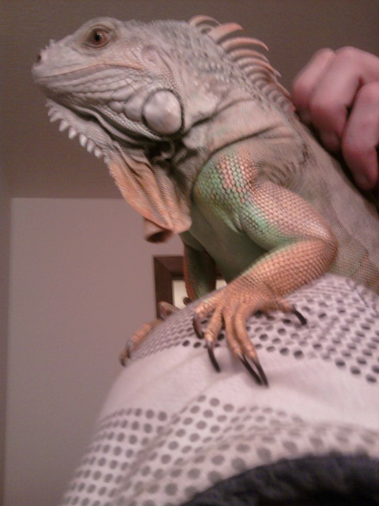 Chillin