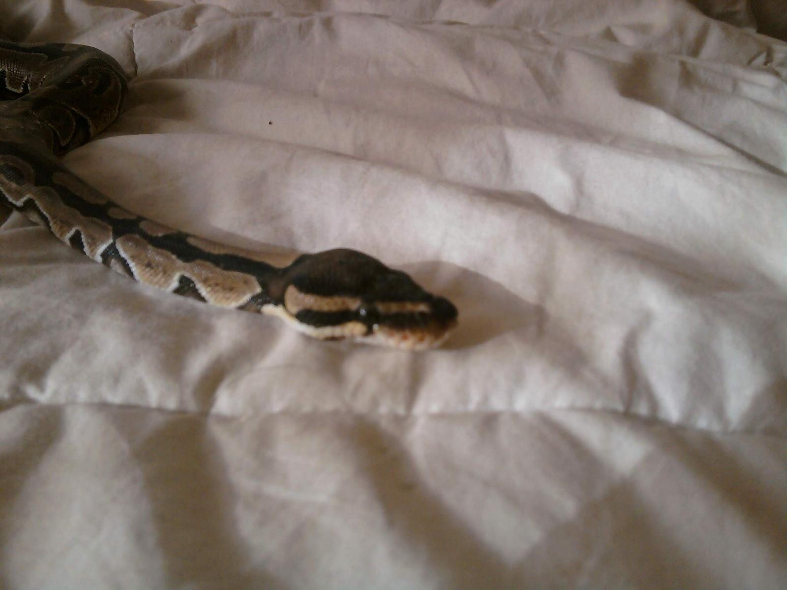 Chillin