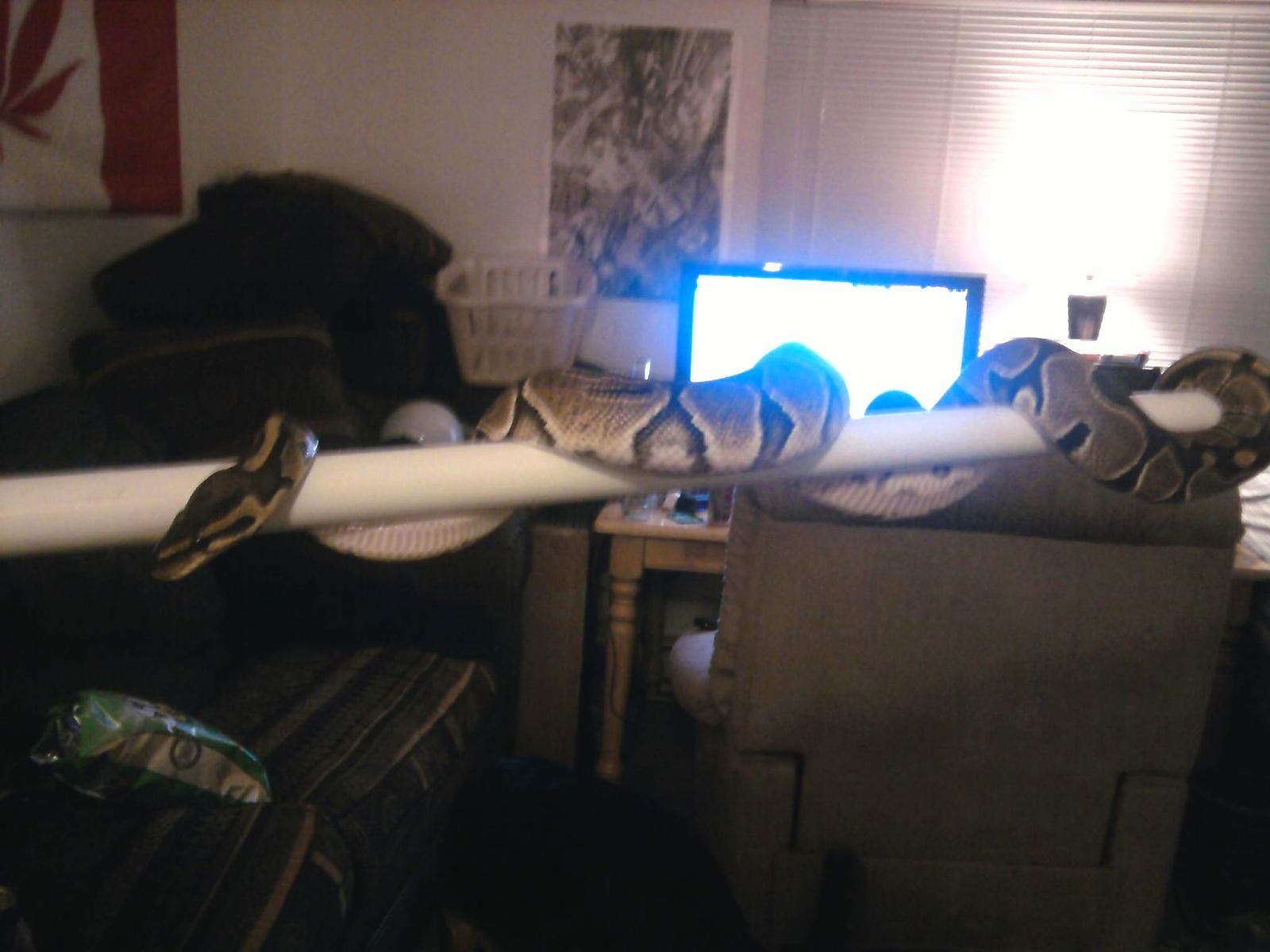 Chillin